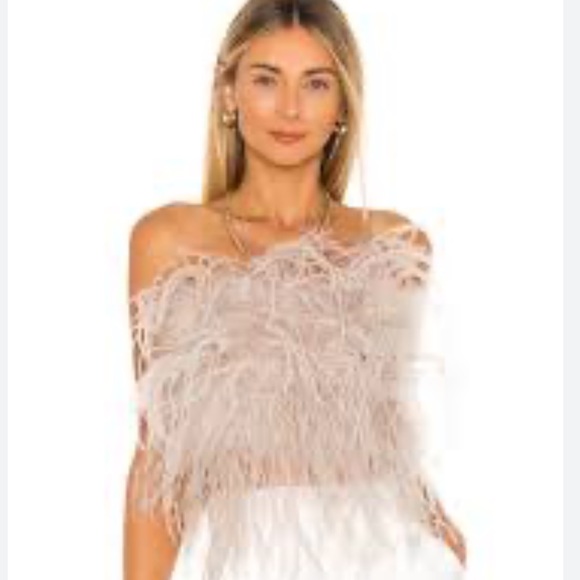 Lamarque Tops - Lamarque Zaina Top in Dusty Rose Crop Top. Worn once!